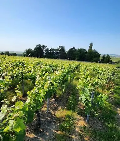 Le Couvent Maison Champenoise بيت للعطل *